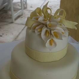 CAKE-CALLA-LILLY-SPLENDOR1
