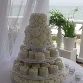 CAKE-CUPCAKES-OF-SHELL1