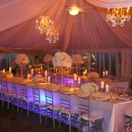 RECEPTION-SET-UP1